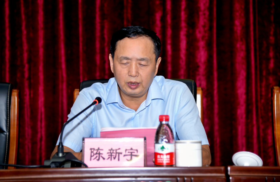 陈院长讲话.png