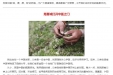《青年名医的医患手记》——用真诚打开中医之