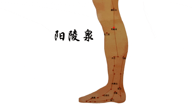 图片 176