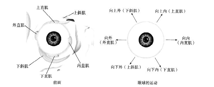 图片 161