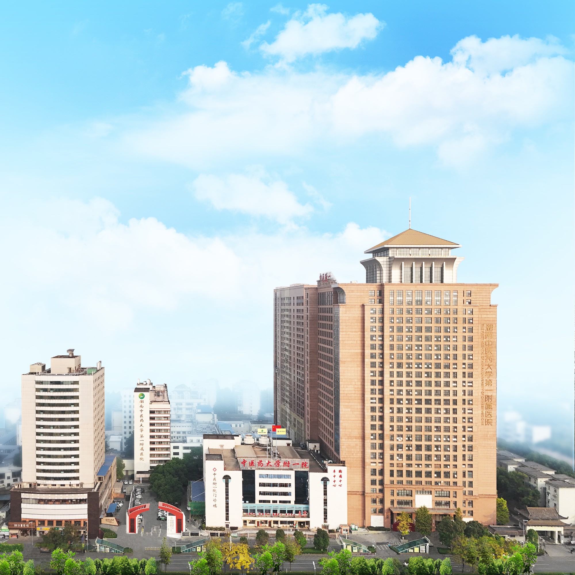 图片 5