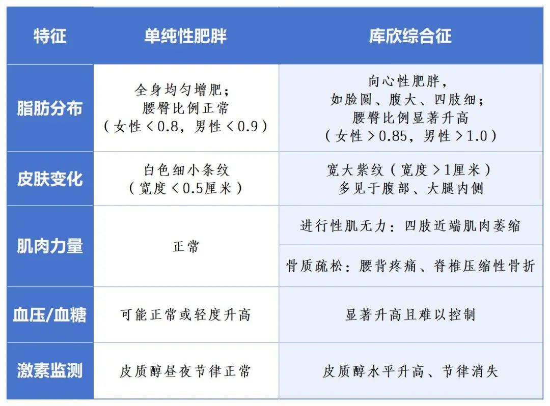 图片 12