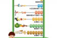 学龄儿童(6周岁后至满18周岁前)中西医结合膳食营养指导