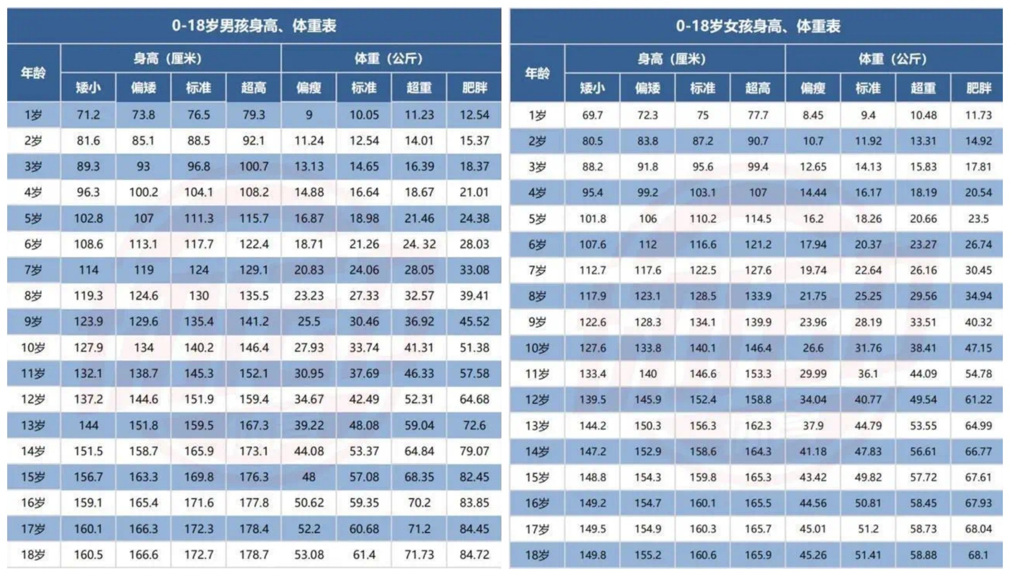 图片 11