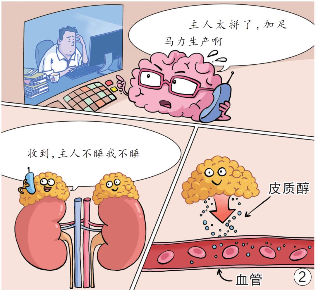 图片 3