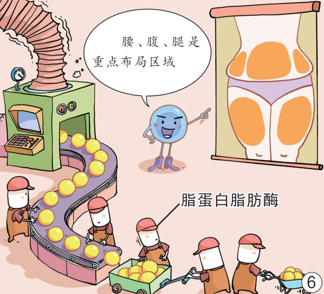 图片 8