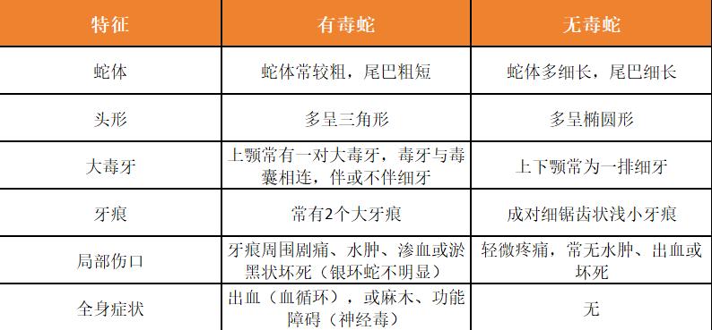 图片 4