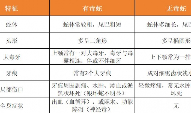 蛇出没！被毒蛇咬伤如何紧急自救