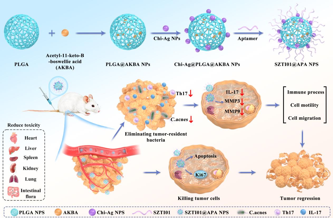 24a5f45c_57c4_4544_a985_a50d1705e7eb